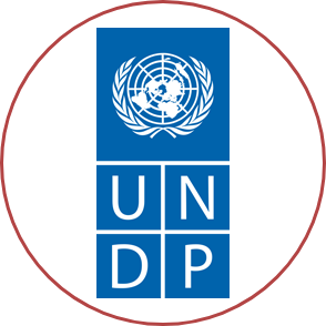 https://www.undp.org/papp